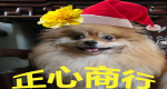 「<%# Eval("Title").ToString() %>」的圖示